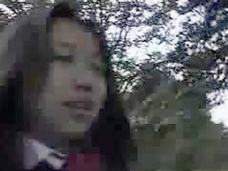 Nippon girl's public train ride turns into a pervy fuckfest