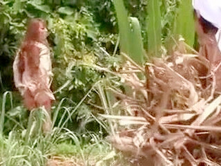 Fucking the Busty Milf Hitomi Tanaka in the Peasant's Field: A Nippon Sex Trip to Remember